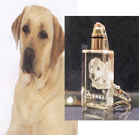 SIMIL 3D 180° MUSO (cane, gatto, coniglio, cavallo)